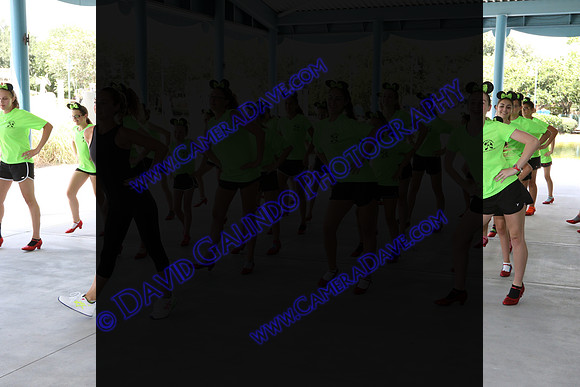 DTW15-22013