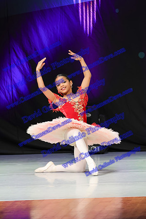 DG1_3554