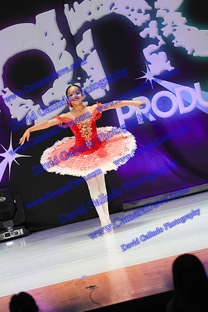 DG1_3518