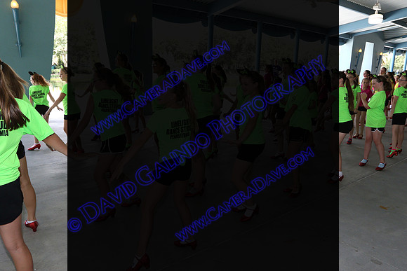 DTW15-22009