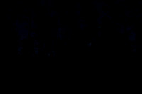 DGP_7887-2