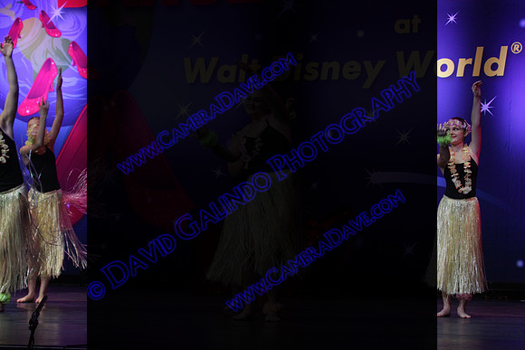 DTW14-9065